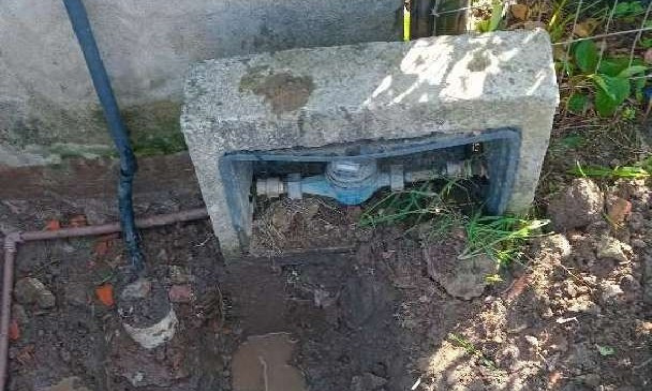 Embasa multa empresa por gato. Foto: Divulgação | Embasa