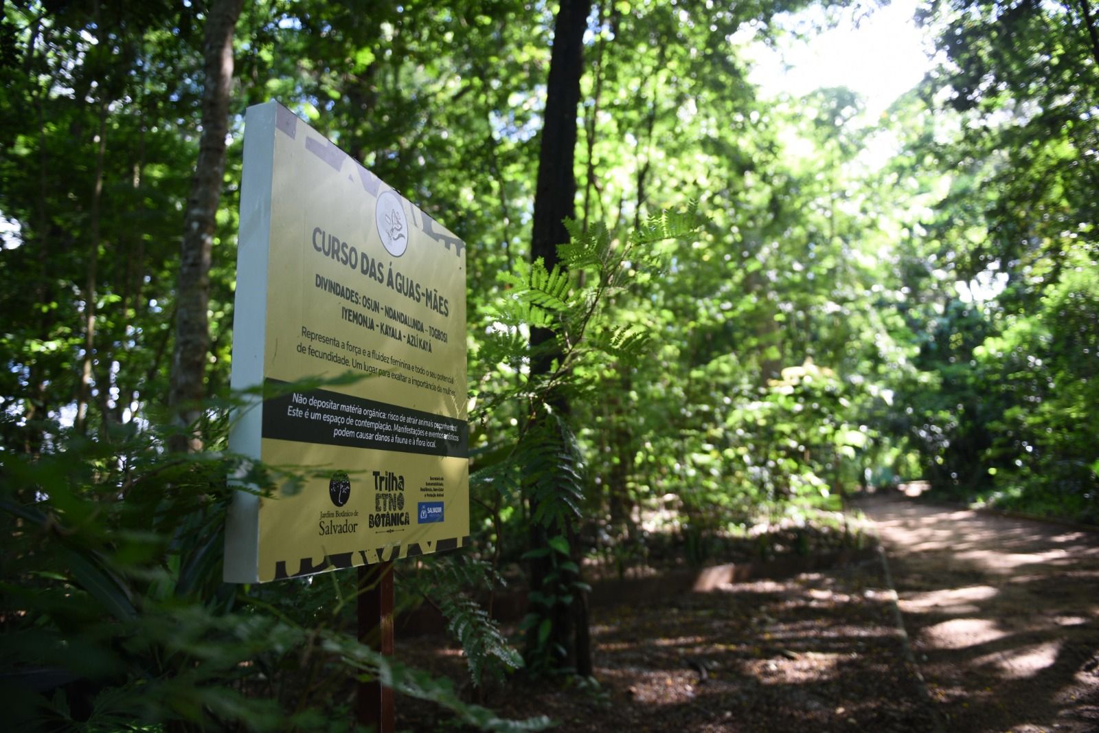 Jardim Etnobotânico De São Marcos Foi Inaugurado Nesta Quinta Feira (5)