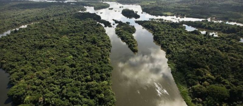 Amaz&ocirc;nia