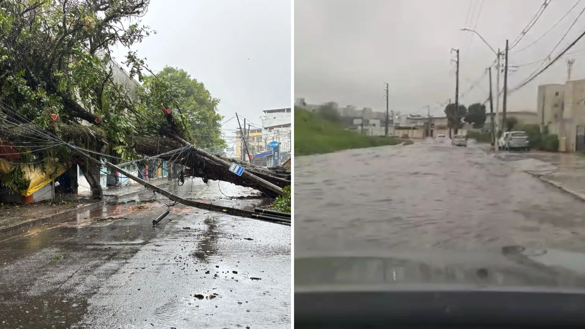 Chuva em Salvador provoca alagamentos e queda de árvore; veja