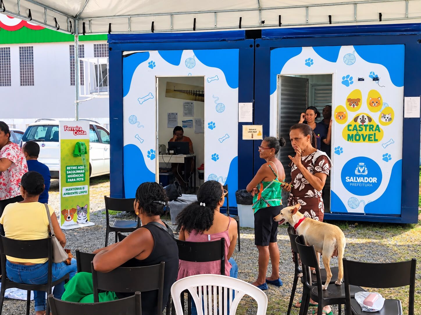 Castra&ccedil;&atilde;o gratuita de c&atilde;es e gatos funciona na Ferreira Costa