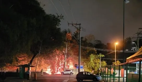 Incêndio atinge trecho de bambuzal na região do Aeroporto de Salvador e reforça degradação local