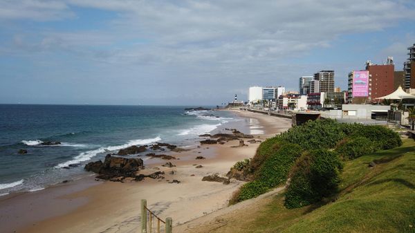 Foto: Leonardo Dourado/Pexels