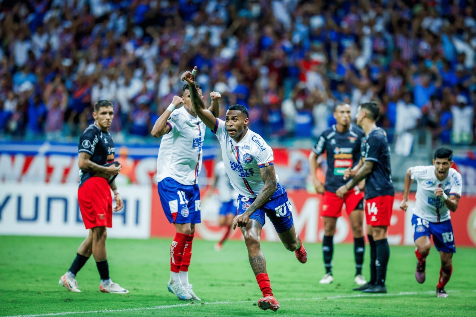 Foto: Divulgação | EC Bahia