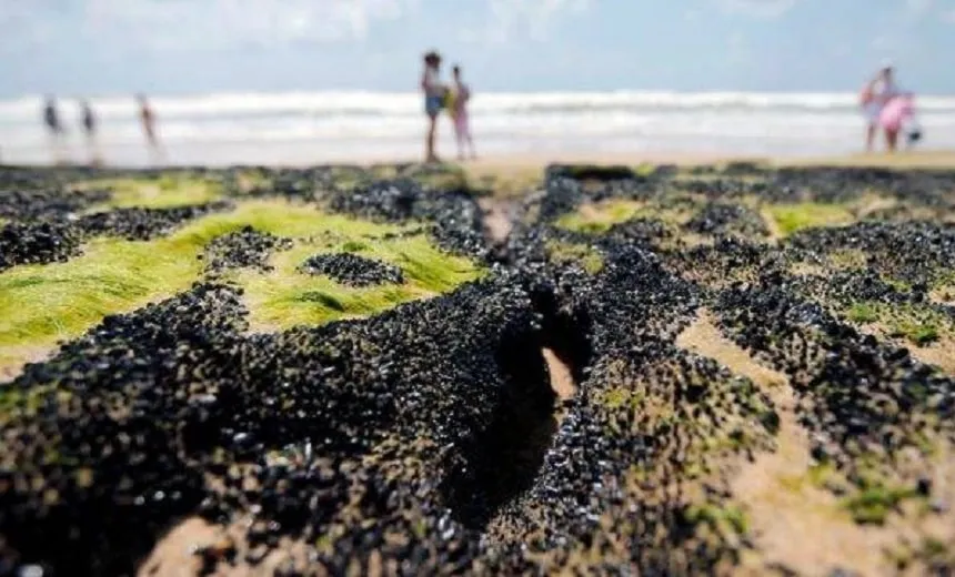 Manchas de óleo no Nordeste se concentram em Pernambuco, diz Marinha