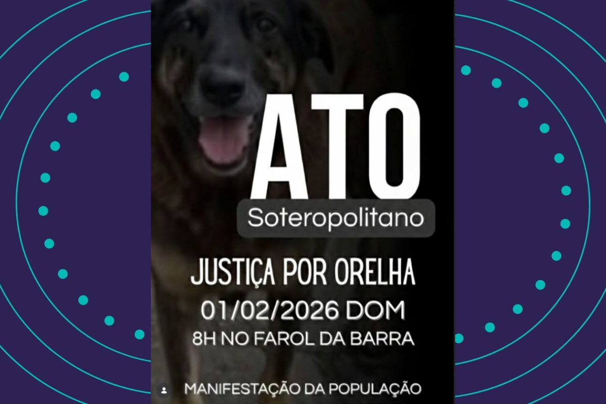 Ato Por Justi&ccedil;a a Orelha Acontece Neste Domingo Em Salvador. Foto: Divulga&ccedil;&atilde;o @institutopatruska