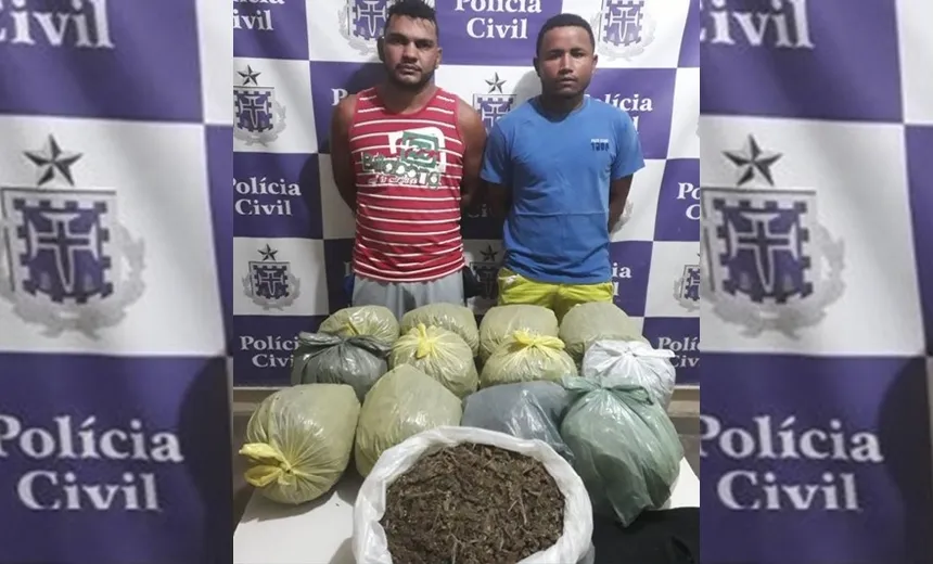 NORTE BAIANO: Polícia apreende 14 kg de maconha e prende dois traficantes em Juazeiro