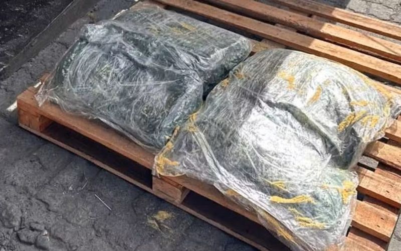 Coca&iacute;na apreendida em cargas de exporta&ccedil;&atilde;o costuma ter como destino final portos europeus, principalmente na B&eacute;lgica, Holanda e Espanha, segundo opera&ccedil;&otilde;es recentes da Receita Federal/Foto: Receita Federal&nbsp;