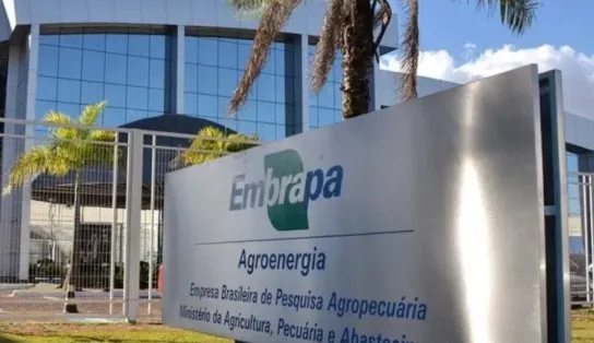 Embrapa divulga concurso com salários até R$ 12 mil; confira vagas 