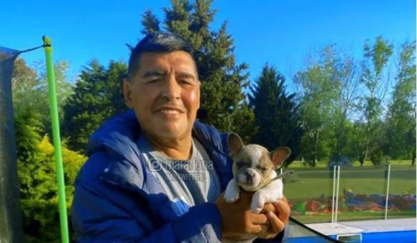 Maradona receberá alta médica nesta quarta-feira, afirma advogado; ele está internado há oito dias