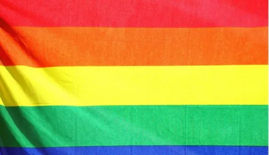 Formulário contra violência à comunidade LGBTQIA+ é lançado pelo CNJ; "violência infelizmente continua", diz ministro  