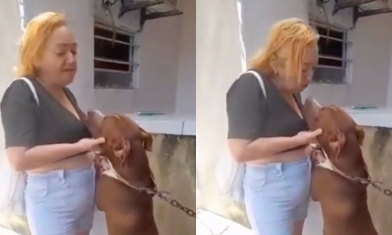 Mulher tem parte do lábio arrancado ao tentar dar 'selinho' em Pitbull.Foto: Reprodução | redes sociais