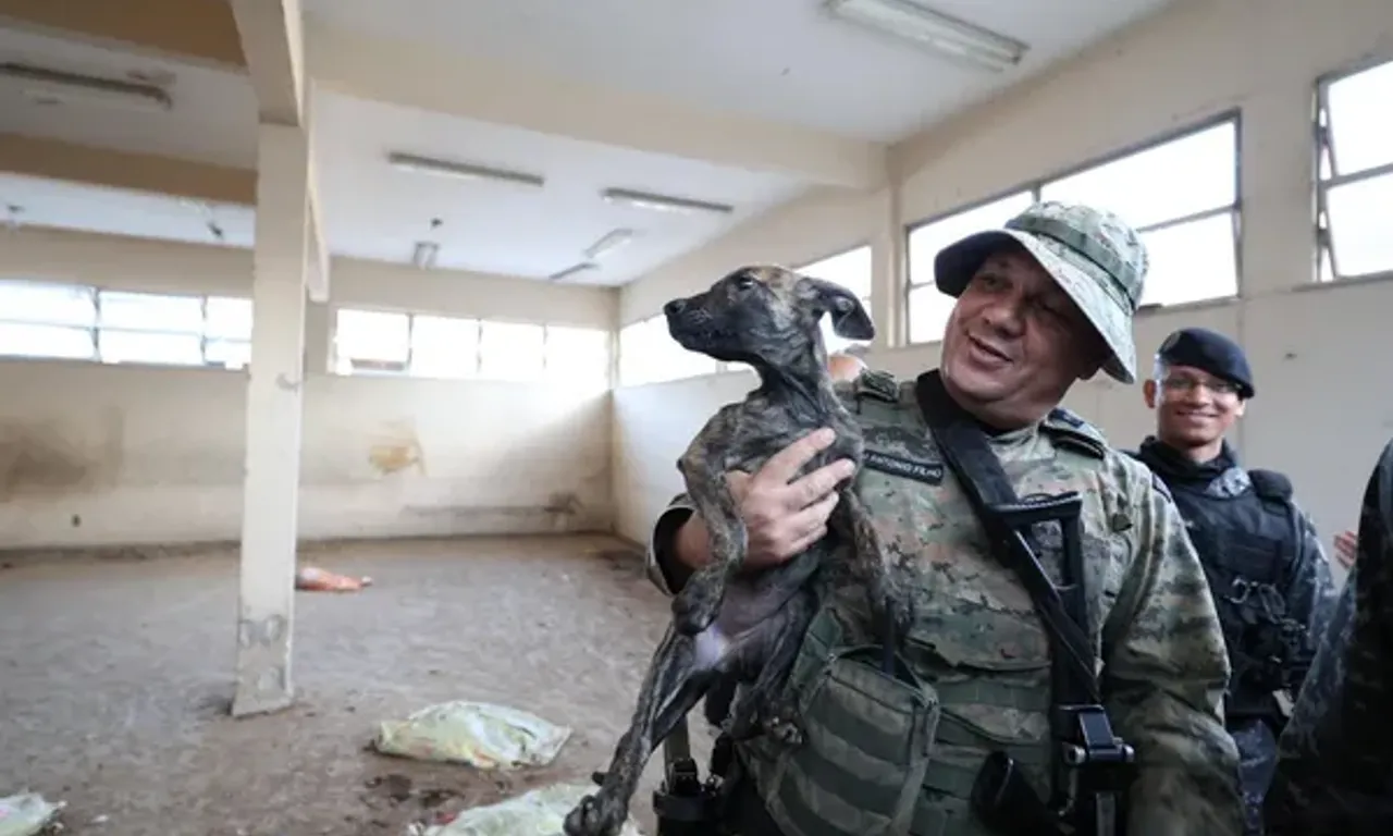 Brigada K9 denuncia retirada de c&atilde;es e cobra respostas sobre abrigo na Bahia; entenda