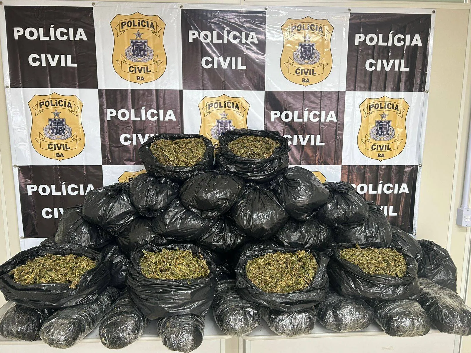 Polícia apreende mais de 40 kg de maconha no São Gonçalo do Retiro