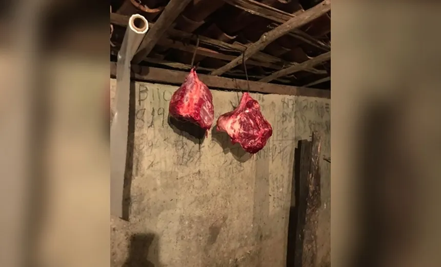Mais de 300 Kg de carne clandestina são apreendidos no Recôncavo Baiano