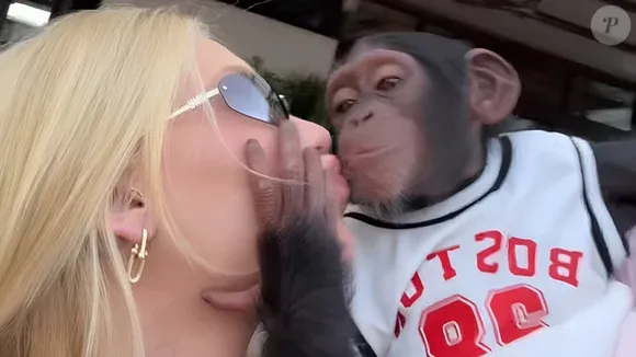 Vídeo de Virgínia Fonseca beijando macaco motiva ataques contra Vini Jr.
