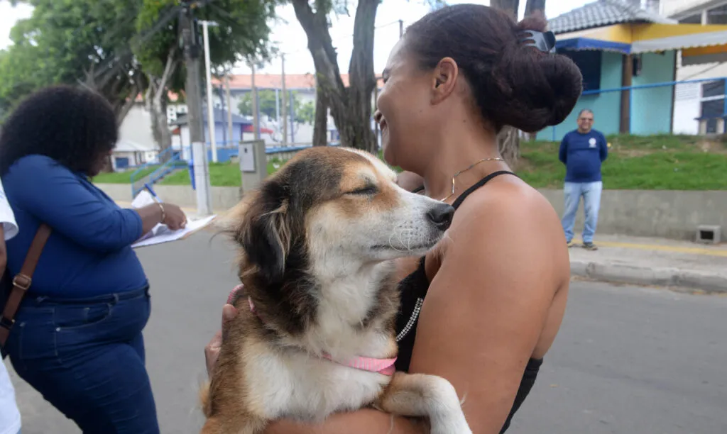 Vacinação antirrábica em Salvador percorre bairros e imuniza cães e gatos