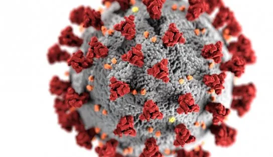 Bahia registra mais de 1,5 mil casos de Covid em um dia e dez óbitos; veja boletim