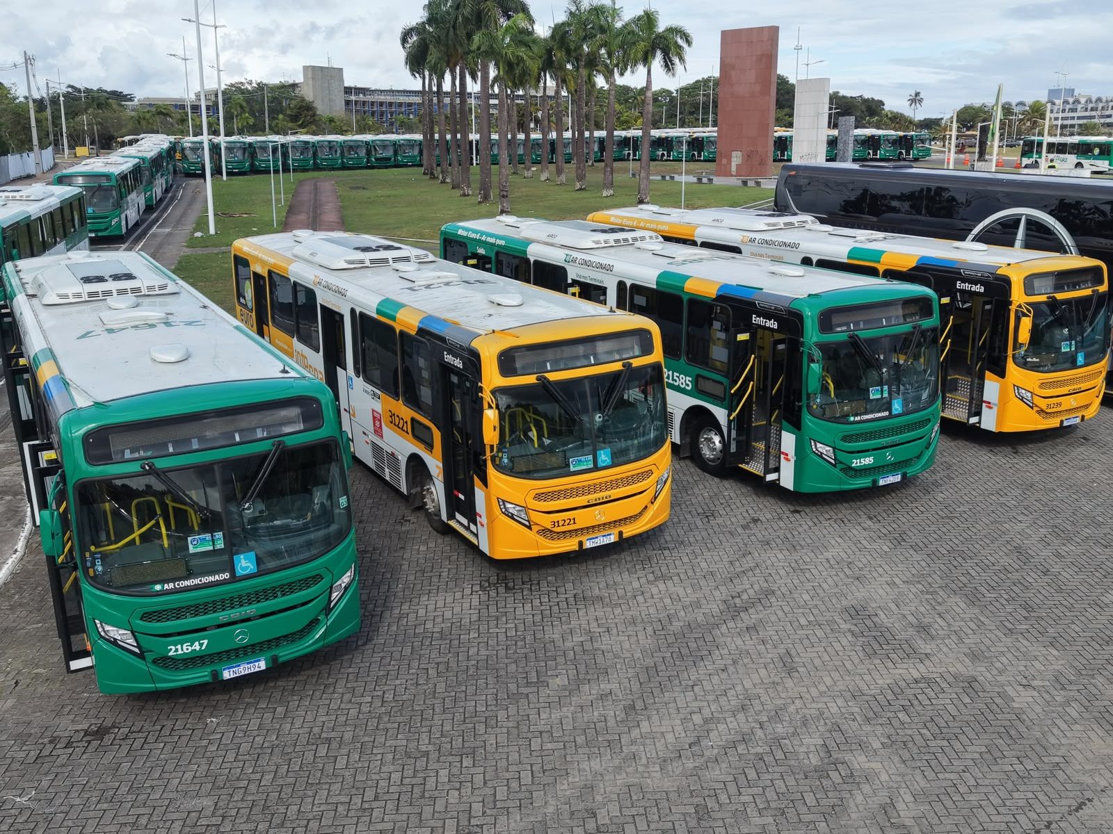 &Ocirc;nibus De Salvador