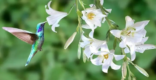 Primavera na Bahia: calor de quase 40&deg;C e mudan&ccedil;a nas chuvas marcam chegada da esta&ccedil;&atilde;o.| Foto: Magnific