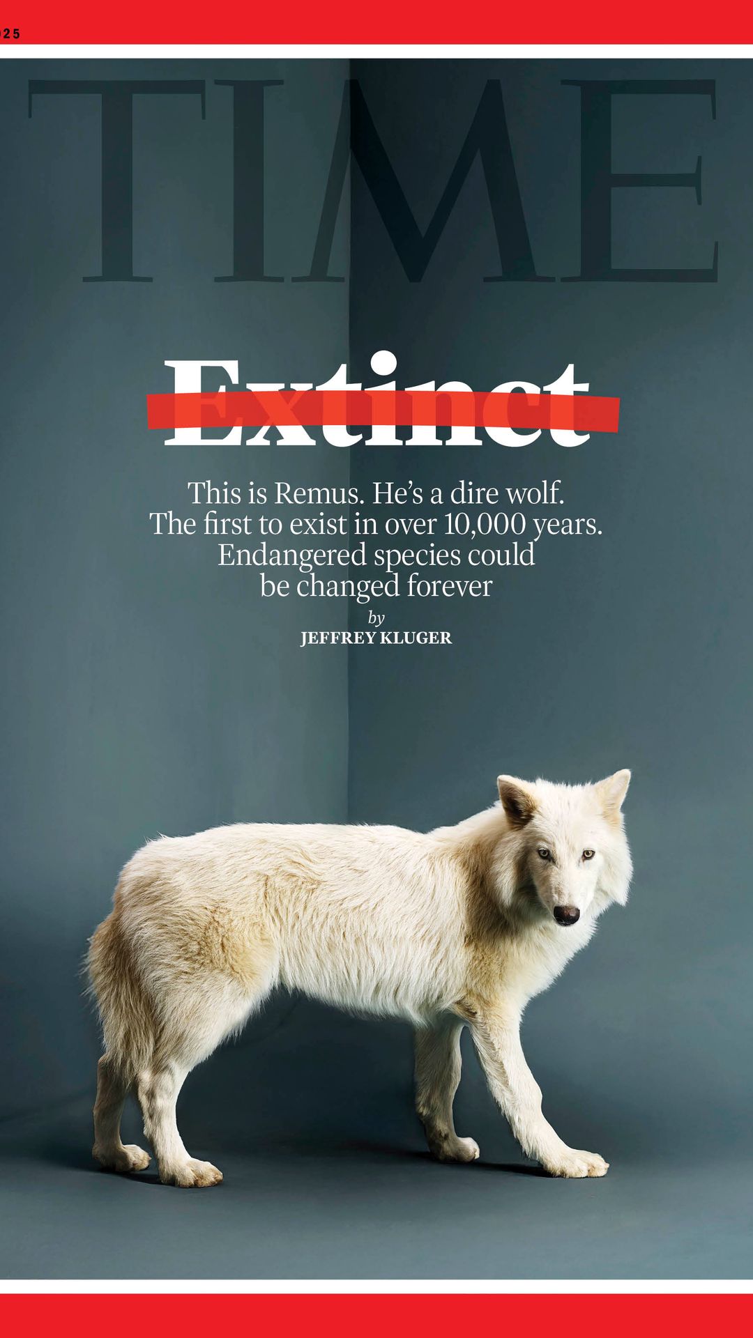 Capa da Revista Time sobre a 
