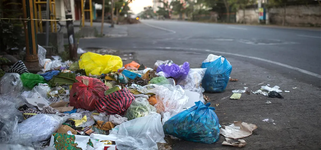 Câmeras passaram a ser usadas para identificar descarte irregular de lixo em Feira De Santana
