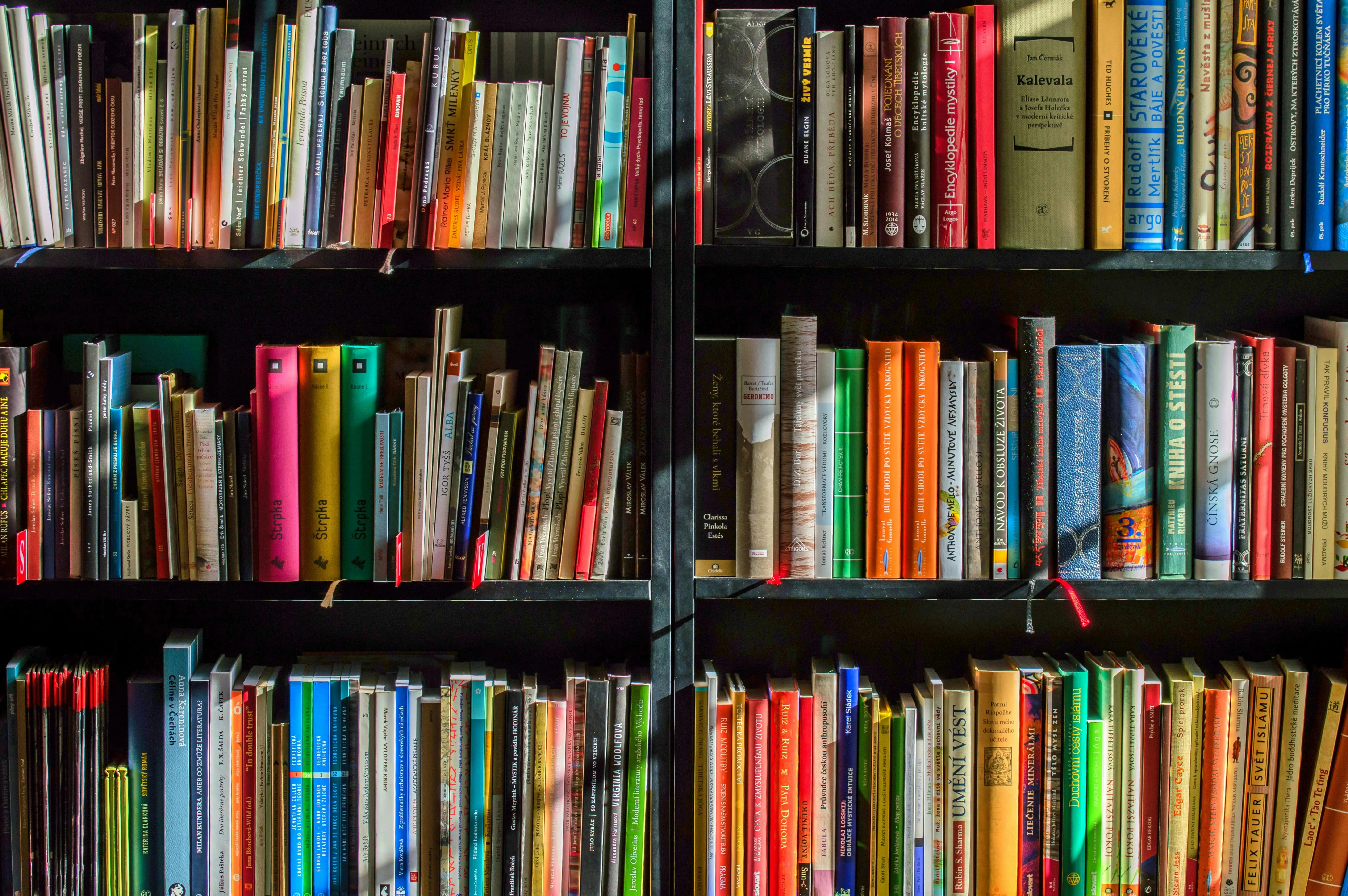 Biblioterapia ganha espaço e chega às escolas com curso para educadores
