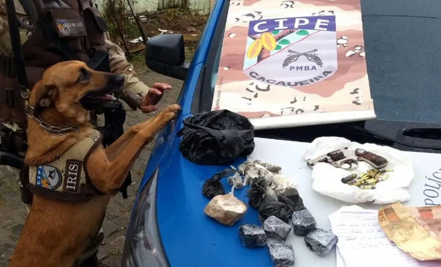 Traficante é preso após cão da Policia farejar droga em quintal de residência