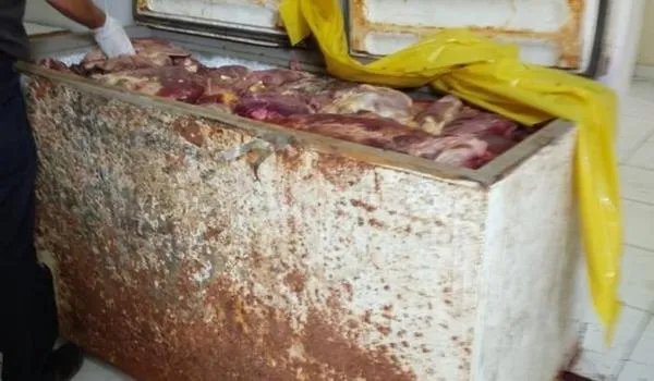 Polícia encontra abatedouro de cavalos de raça e carnes prontas para a venda na Bahia