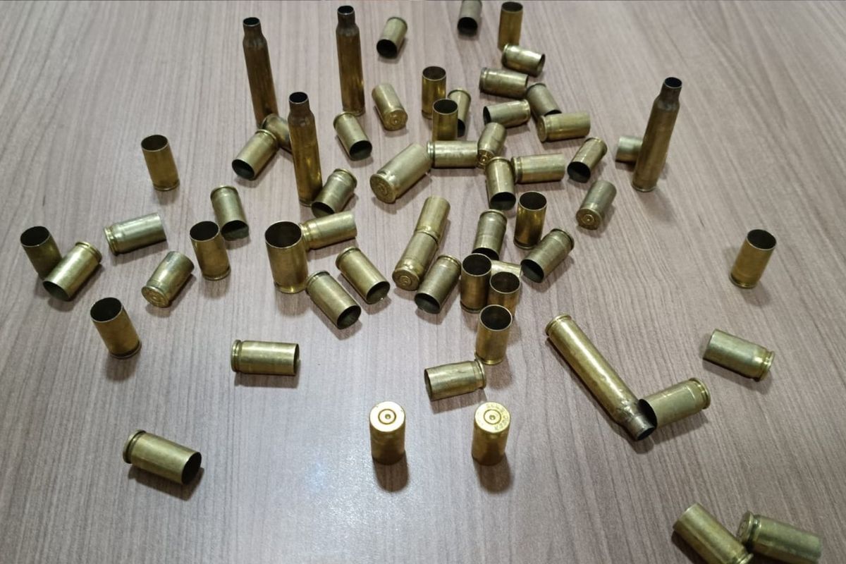 Foto: Ilustra&ccedil;&atilde;o | Dinaldo dos Santos/Aratu On