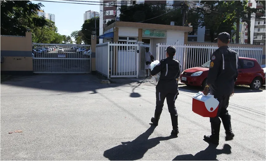 Projeto recolhe e distribui leite materno para prematuros em duas maternidades de Salvador