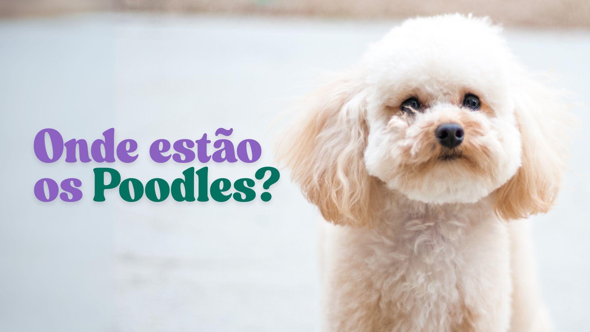 Onde estão os Poodles? | Arte/Aratu On