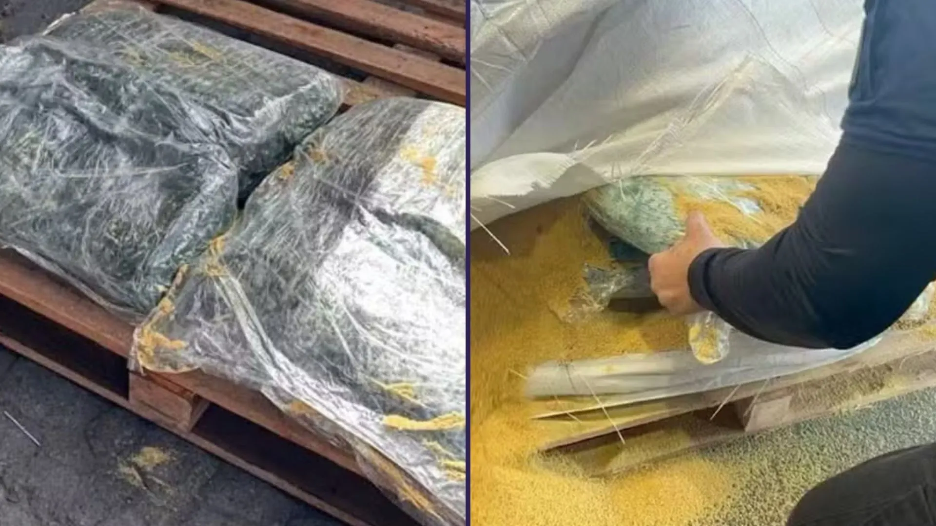 Cocaína é apreendida pela Receita Federal em carga de soja no Porto De Salvador