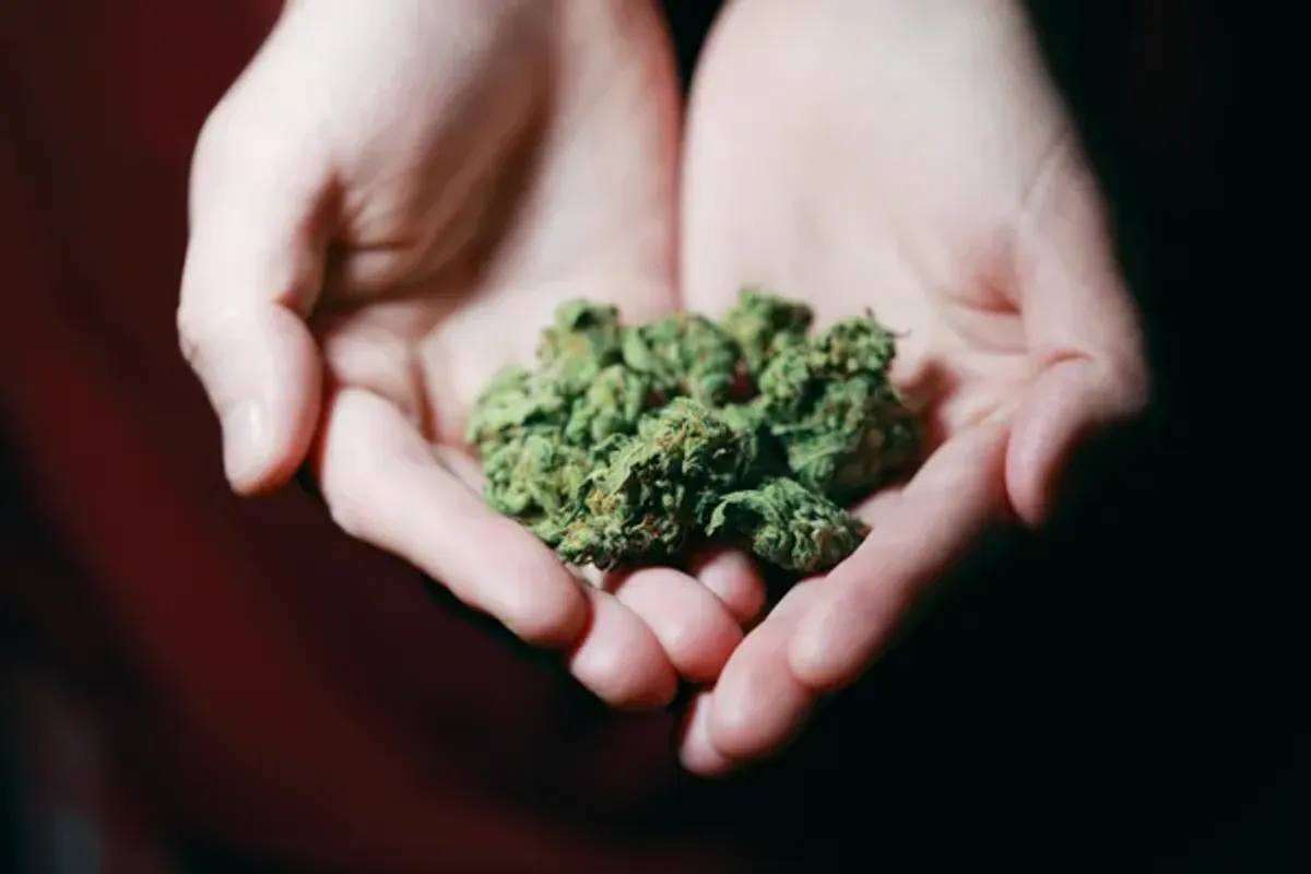 O estudo aponta que, entre jovens menores de idade, a propor&ccedil;&atilde;o de meninas que j&aacute; experimentaram drogas supera a de meninos. | Foto: Ilustrativa/Pexels