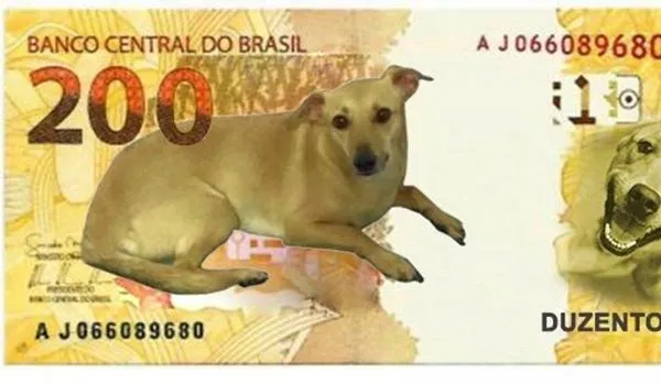 'Vira-lata caramelo': internautas sugerem imagens para nova cédula de R$ 200; confira melhores memes