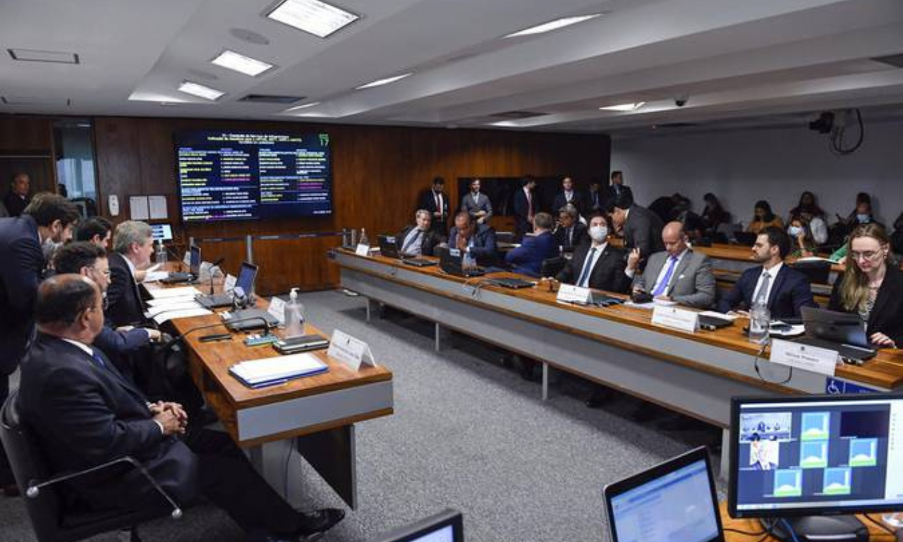 Senado discute pautas sobre animais e transporte. Foto: Agência Senado