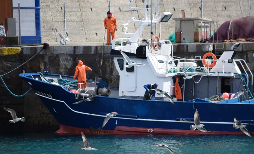 Peixes com certificação são alternativas após vazamento de óleo; entenda