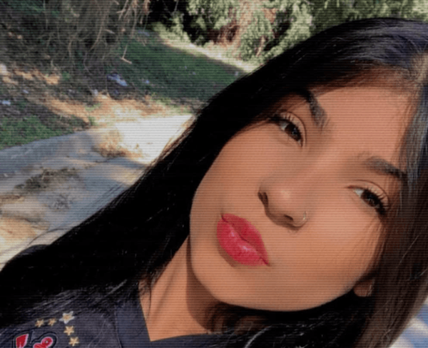 Vitória Cristina, de 17 anos, foi morta a facadas por Maicol. Foto: Redes Sociais