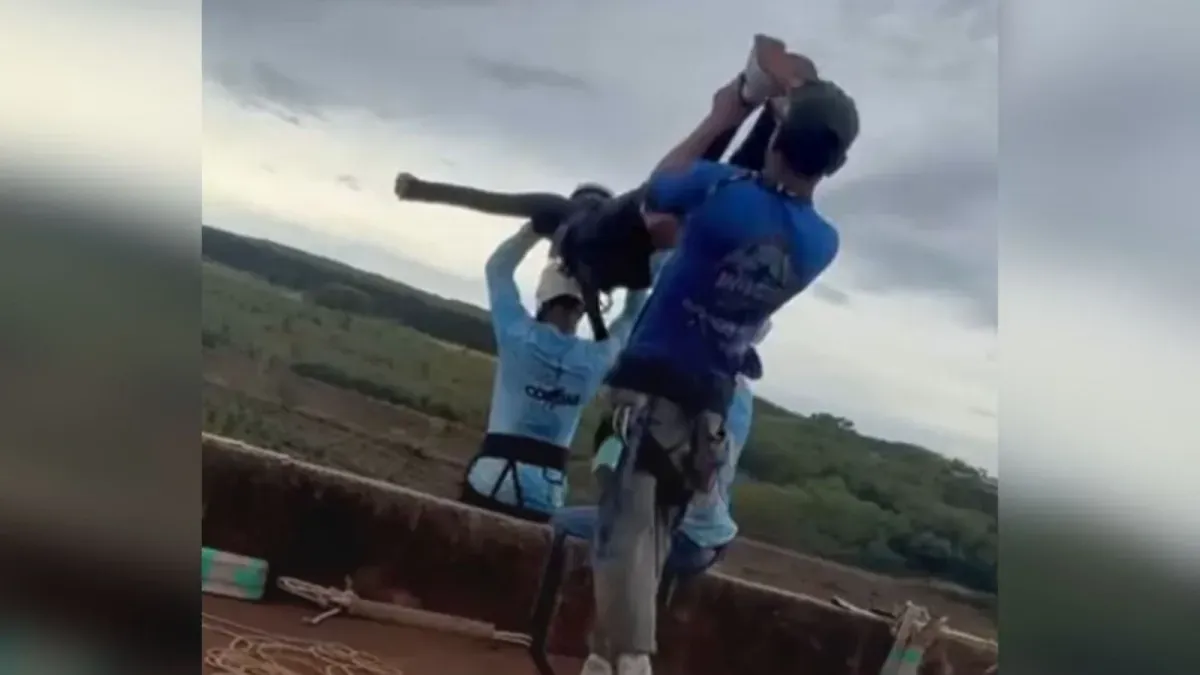 Testemunha relata ocultação de provas após morte em rope jump: 'Foi arremessada'