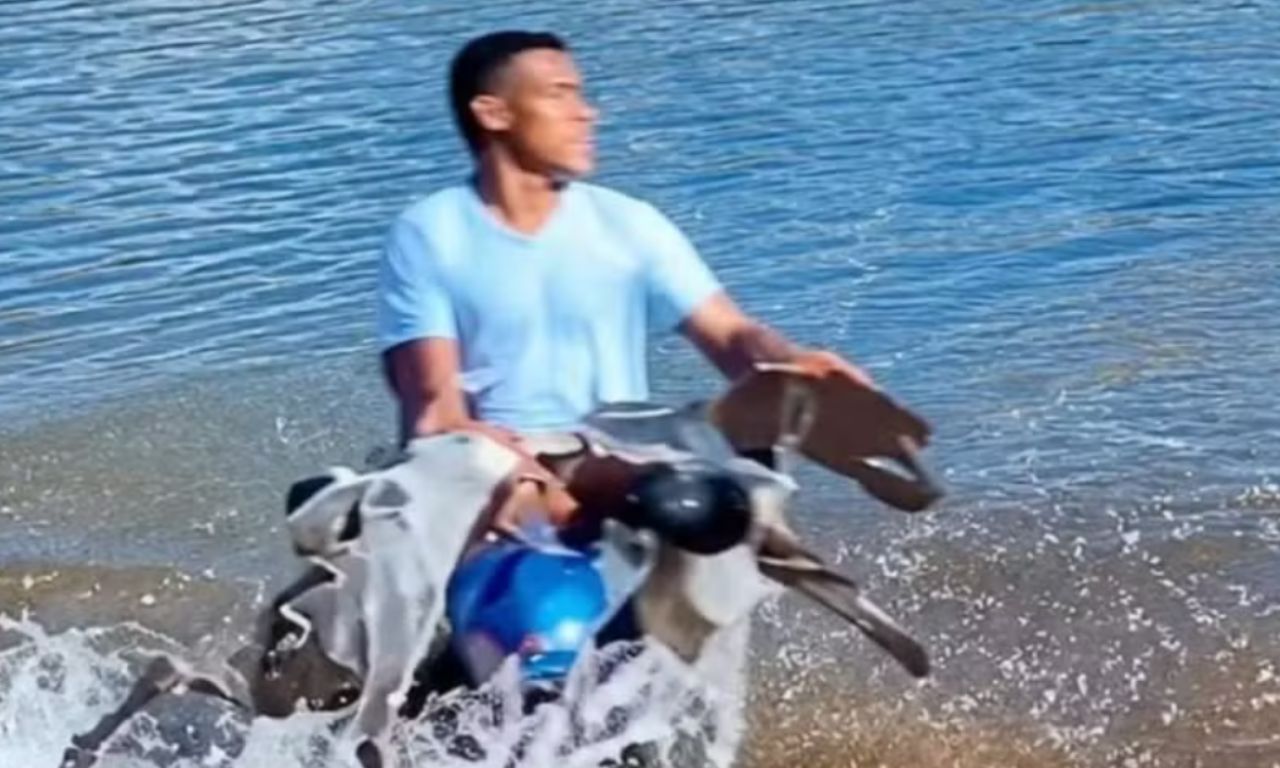 investigado ap&oacute;s jogar cachorro v&aacute;rias vezes em a&ccedil;ude na Bahia