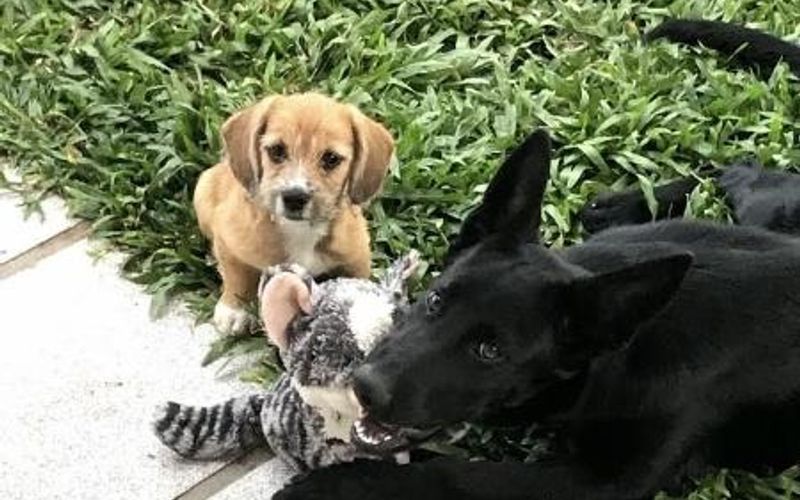 Segundo o C&oacute;digo Civil brasileiro, empregadores e contratantes podem ser responsabilizados por atos de seus funcion&aacute;rios durante o exerc&iacute;cio do trabalho/Foto: Redes Sociais/ Reprodu&ccedil;&atilde;o&nbsp;