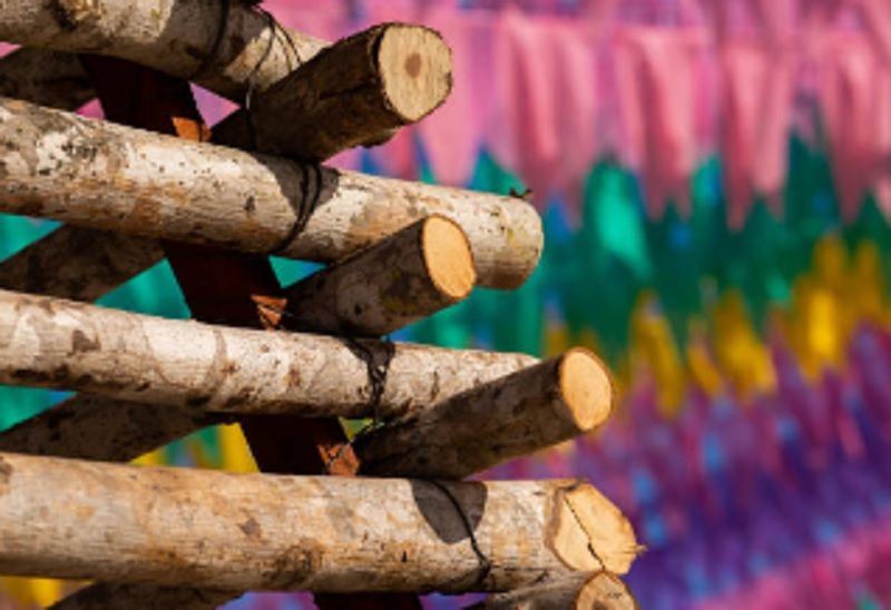 Fogueira Junina. Foto: Ilustração | iStock
