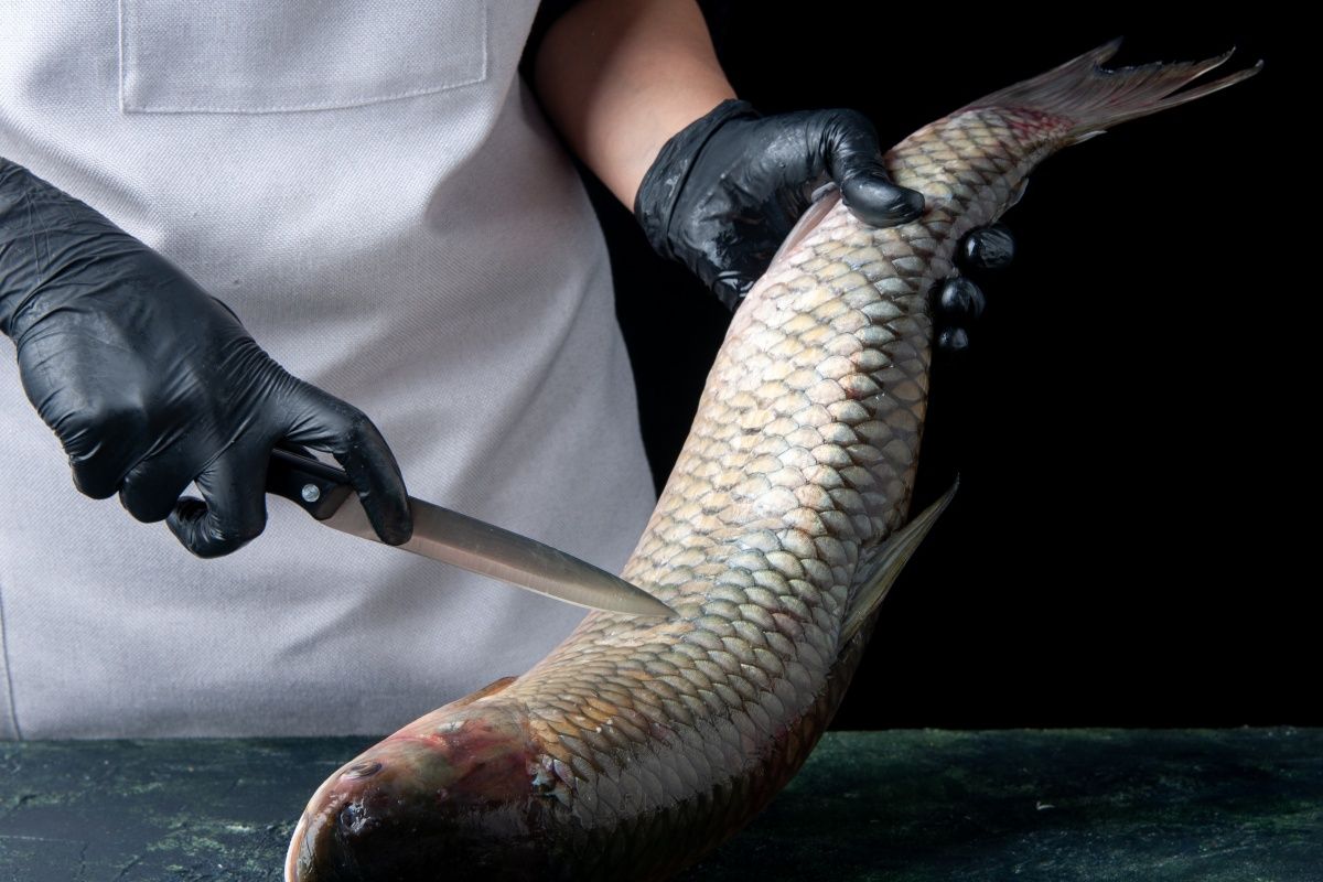 Dentre as vagas de emprego na sexta estão: peixeiro, gesseiro, garçom e auxiliar de confeitaria. Foto: Ilustrativa/Freepik