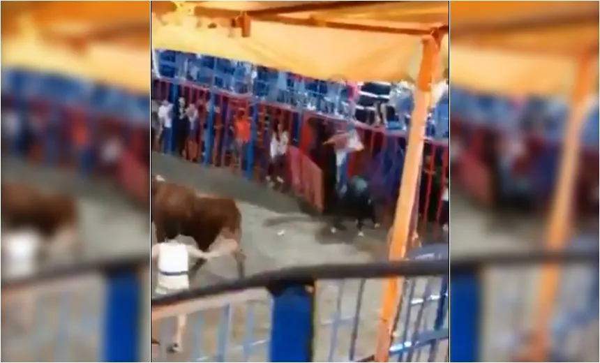  Garoto de 12 anos cai de arquibancada e é atingida por touro; veja o vídeo
