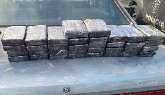Polícia apreende cocaína avaliada em R$ 800 mil durante blitz na Avenida Paralela; cadela farejadora auxiliou operação