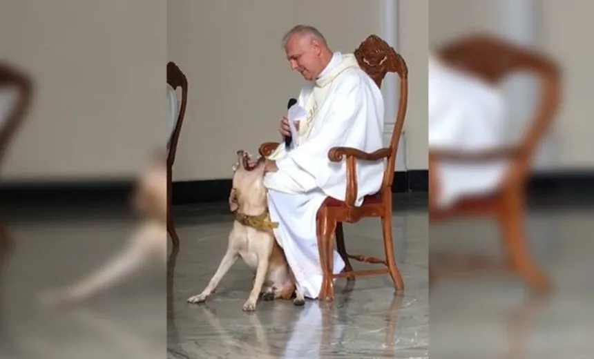 Vídeo: cachorro invade missa, ganha carinho de padre e viraliza