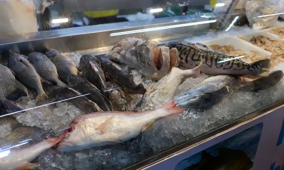 Peixes