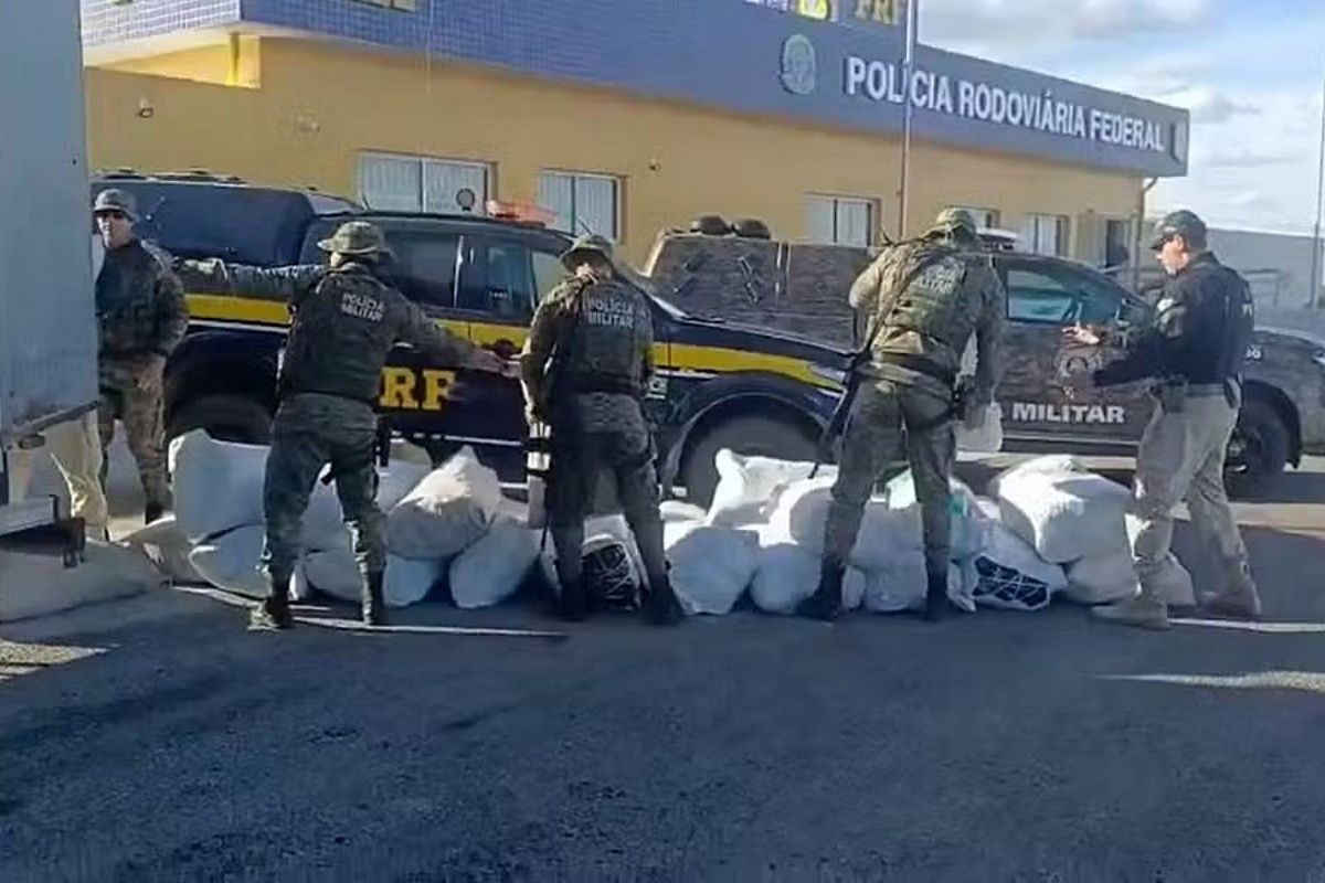 Os quase 800 kg de maconha apreendidos em Uauá foram apresentados à Polícia. Foto: Divulgação/PRF