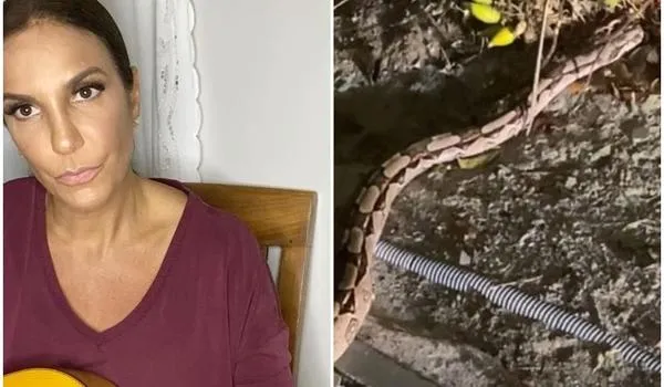 Ivete Sangalo mostra 'visita' de cobra durante quarentena em sua casa 