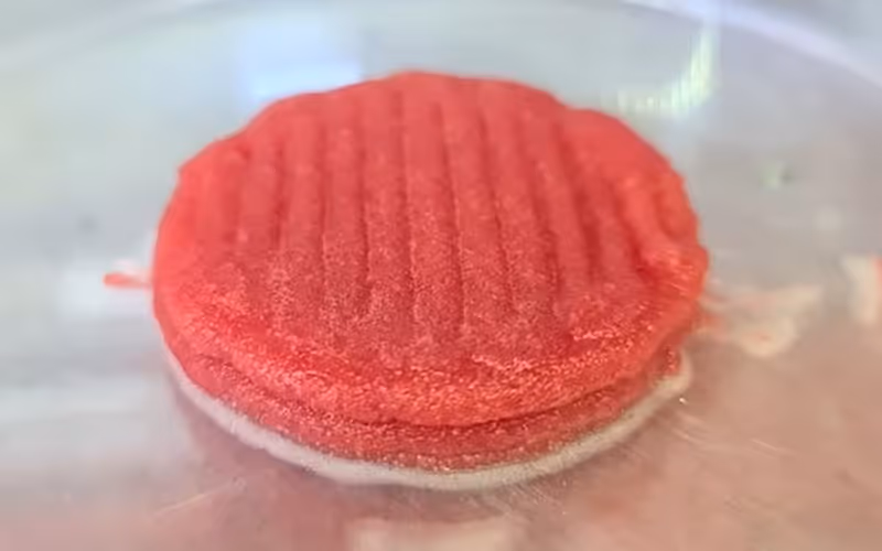 Carne cultivada é produzida a partir de células animais crescidas em laboratório, sem necessidade de criação intensiva ou abate/Foto: Malu Vieira